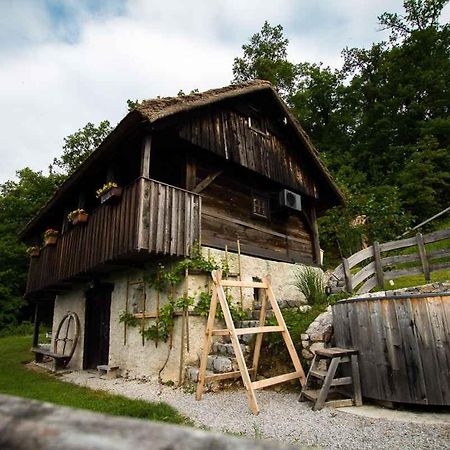 Holiday Home In Otocec - Kranjska Krain 26039 Экстерьер фото